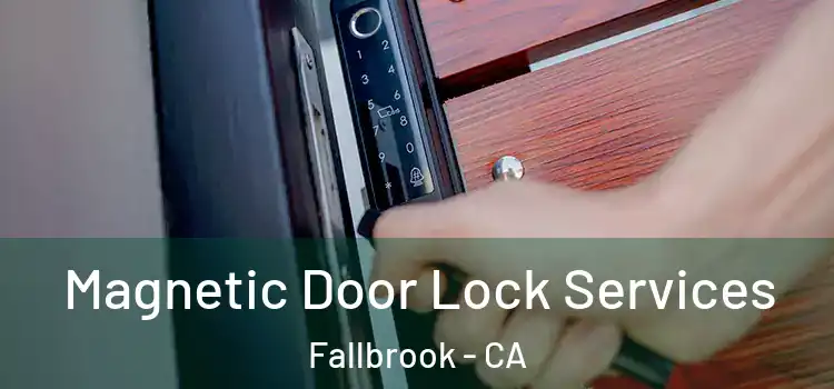 Magnetic Door Lock Services Fallbrook - CA